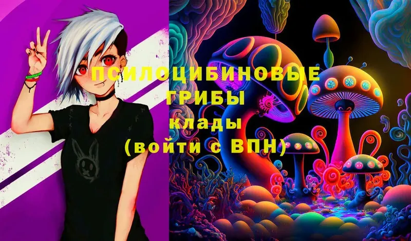 Галлюциногенные грибы Magic Shrooms  купить закладку  Югорск 